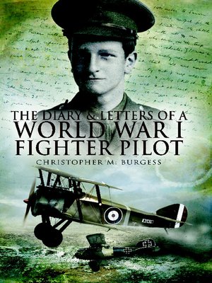 cover image of Diary And Letters Of A World War I Fighter Pilot, The